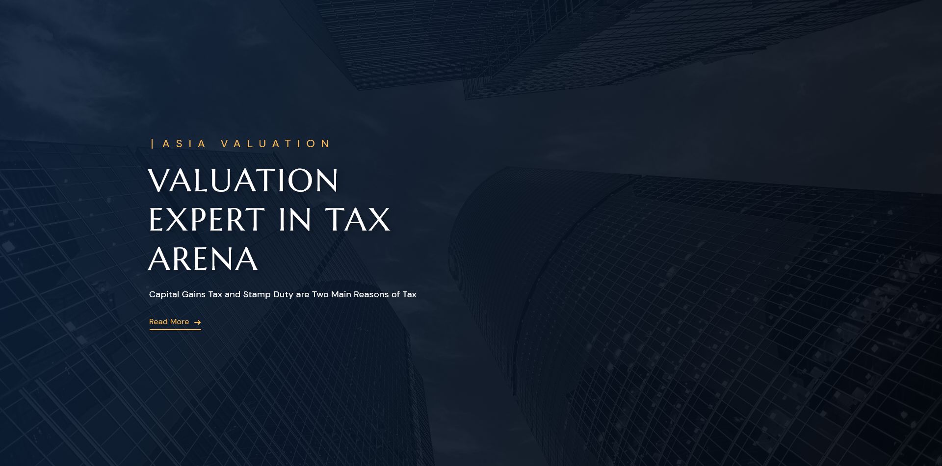 valuation-expert-in-tax-arena-english